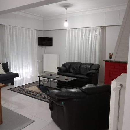 Spacious Apartment Anatoli יואנינה מראה חיצוני תמונה