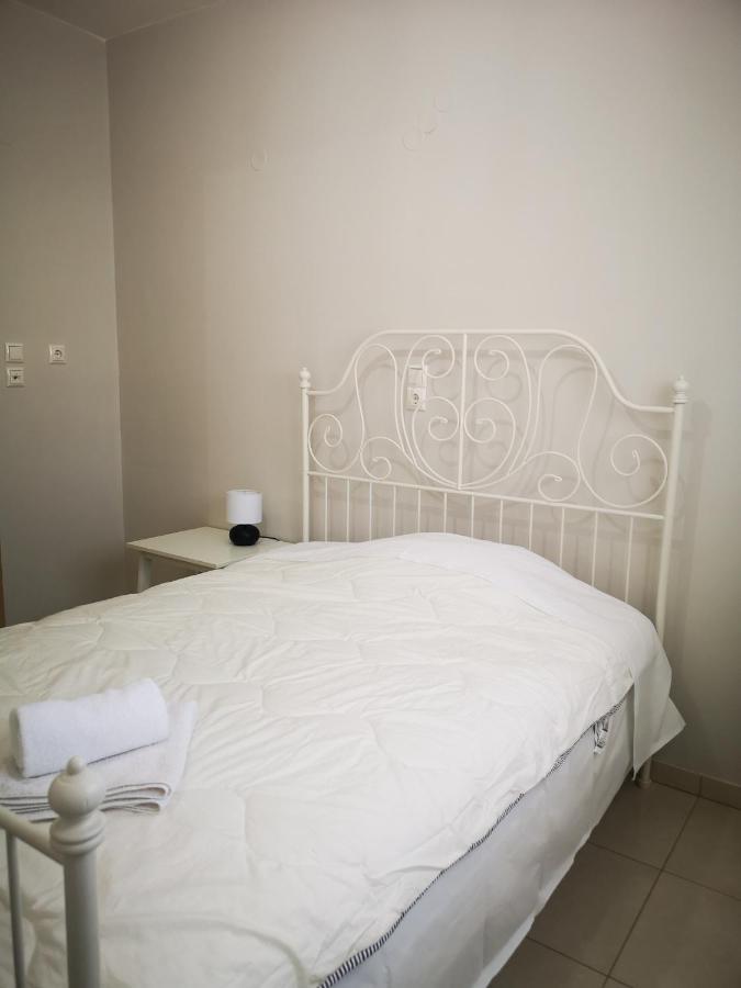 Spacious Apartment Anatoli יואנינה מראה חיצוני תמונה